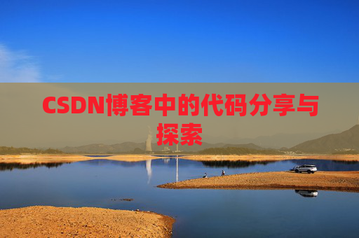 CSDN博客中的代码分享与探索
